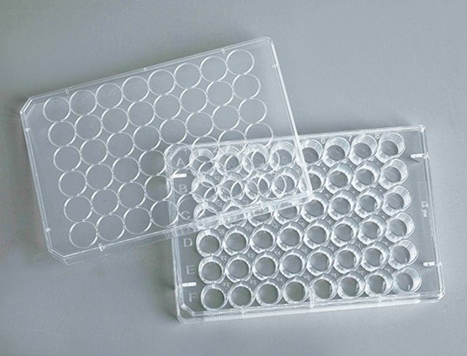 48 Well Cell Culture Plates