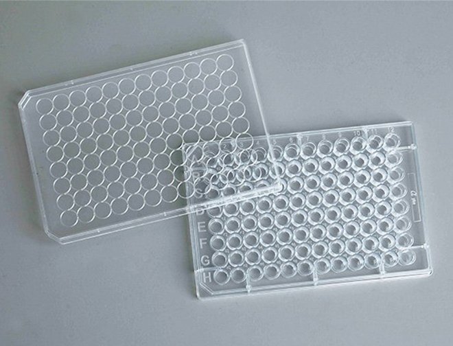 96 Well Cell Culture Plates