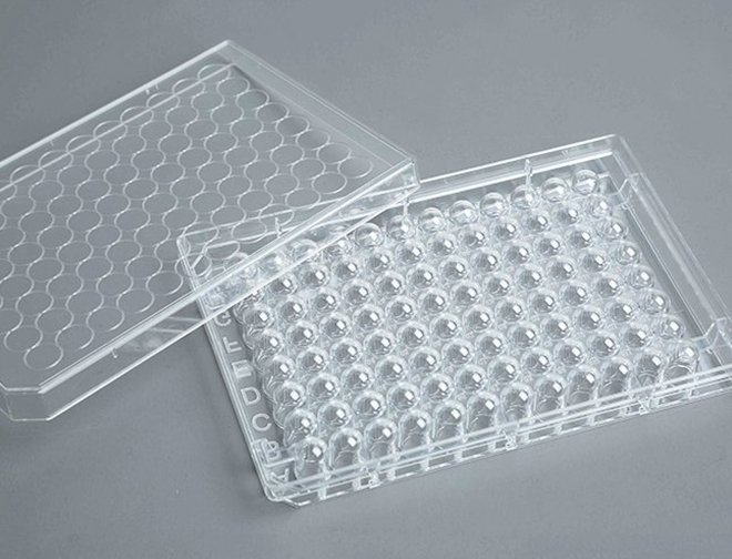 96 Well Cell Culture Plates U Bottom