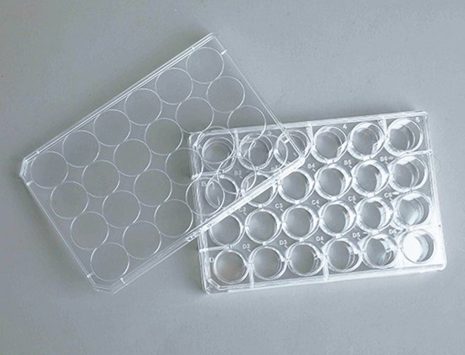 24 Well Cell Culture Plates