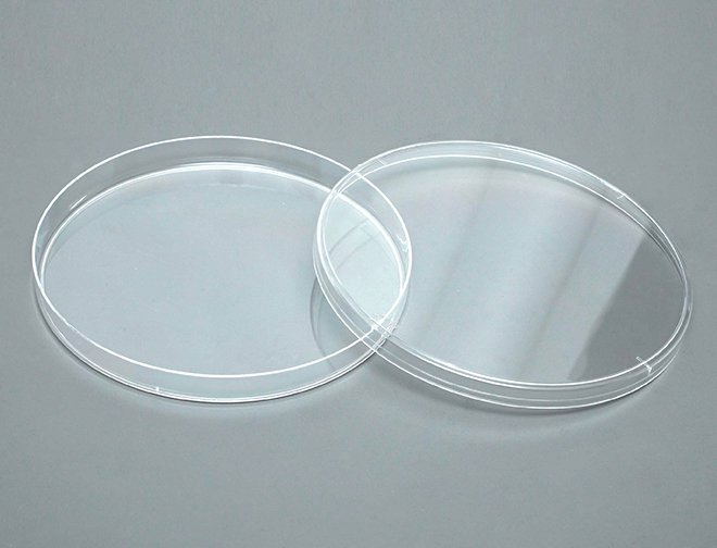 150 mm  Cell Culture Dishes