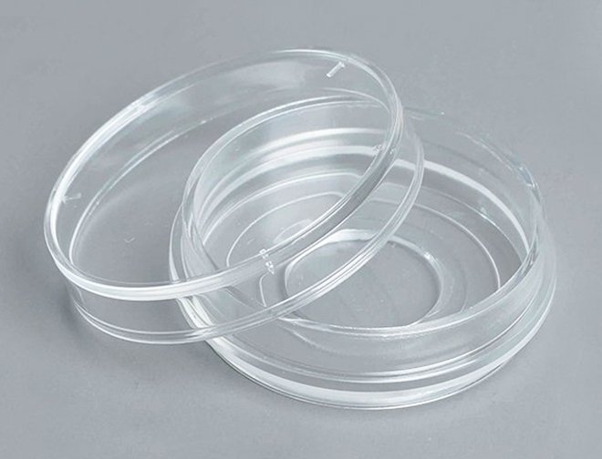 3.5 cm Glass Bottom Cell Culture Dishes