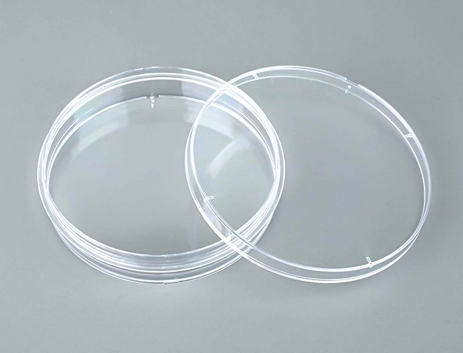 100 mm  Cell Culture Dishes