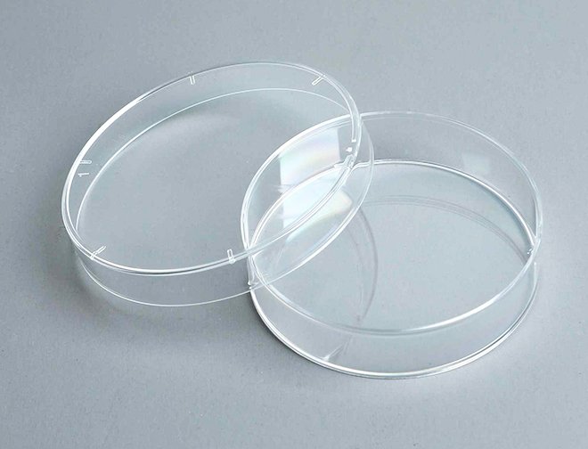 60 mm  Cell Culture Dishes