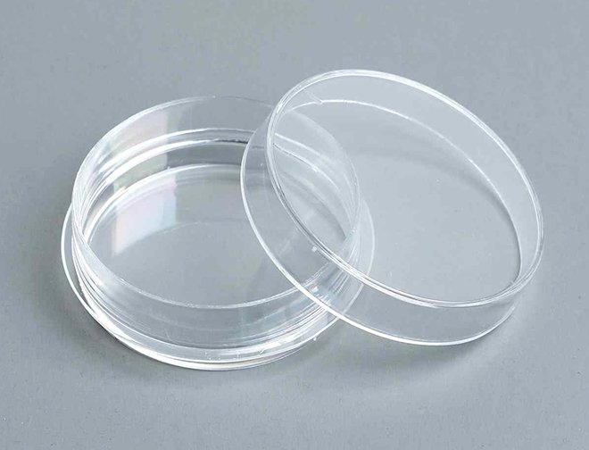 35 mm  Cell Culture Dishes